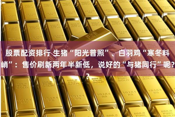 股票配资排行 生猪“阳光普照”、白羽鸡“寒冬料峭”：售价刷新两年半新低，说好的“与猪同行”呢？